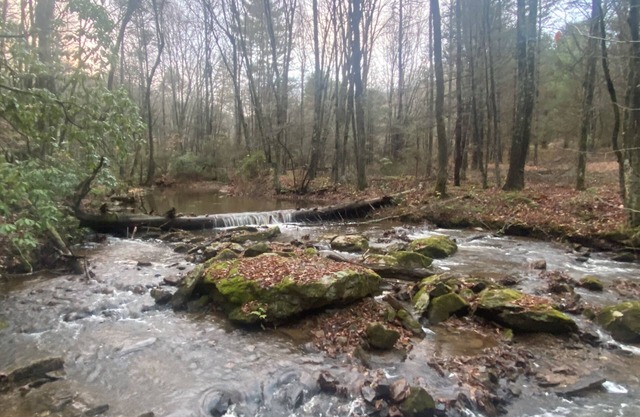 Beautiful new cabins mile off Blue Ridge Parkway in Montebello, VA