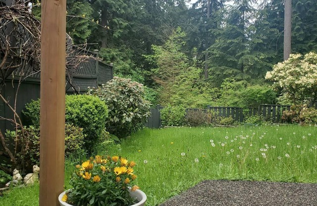 BEAUTIFUL NEWLY RENOVATED SUITE IN THE CENTER OF COQUITLAM BC.
