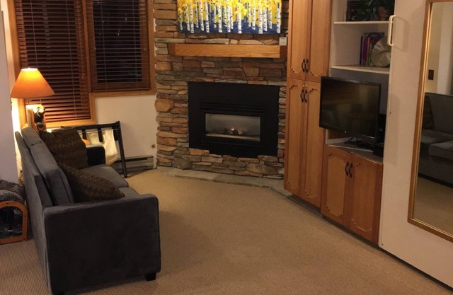 Beautiful Ski In/Ski Out Studio Condo NO CLEANING FEES