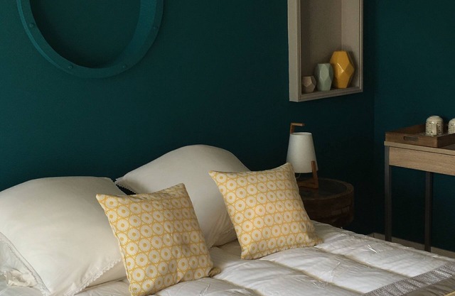 Bed and breakfast near Amboise