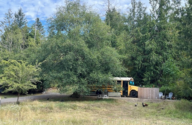 Bee Haven Bus at the RMR Farmstead with hot tub