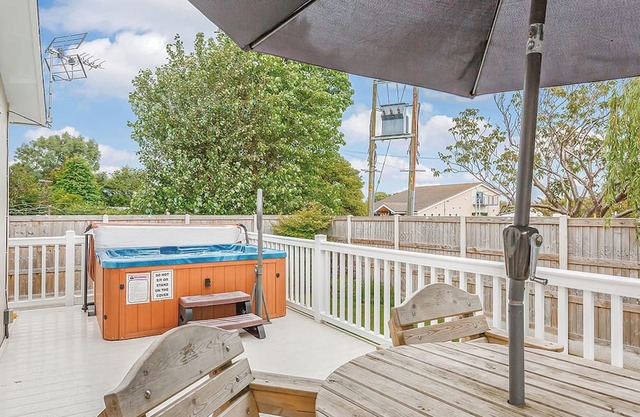 Beech Tree 3 Premier