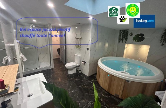 Bel appart stylé avec jacuzzi