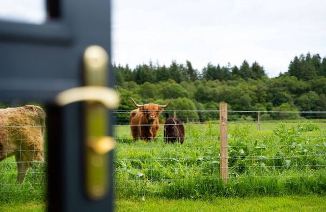 Ben Nevis Pod in the town of Fort William