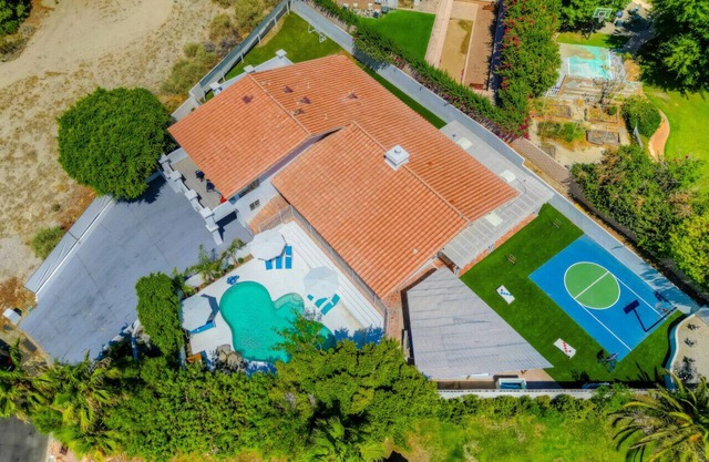 Bermuda Paradise 41321 Pedro Buff BD