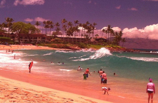 Best Swimming in the World Across the Street; Best Golf Out the Back Door!