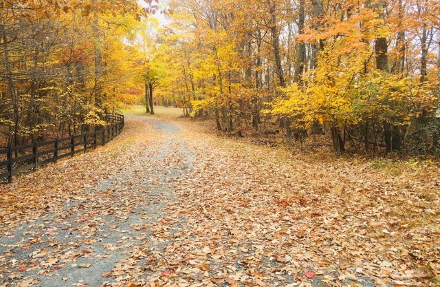 Best views! 2 Floors