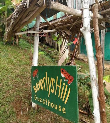 Beverly's Hill Guest House