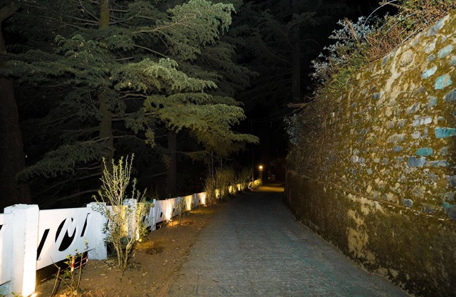 Bhikampur Lodge By Howard
