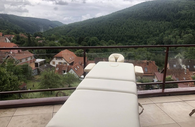 Big cocoon with splendid view in Alsace