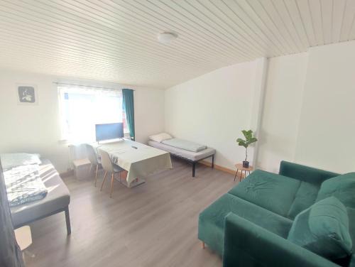 Big, Cozy and central apartment 24 h check in