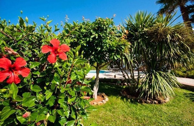 BINI CEL for 6 pax Heated Pool on request
