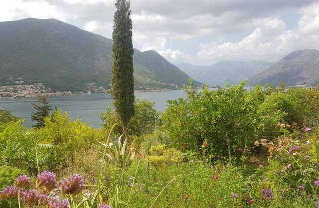 Biser lux - Kotor Bay - Sea view & Swimming Pool