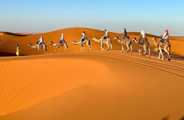 Bivouac la fibule des Dunes