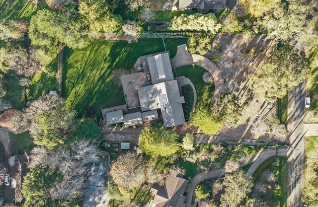 Black Cockatoo, Burradoo