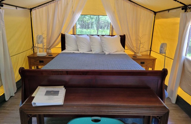 Black Fox Den: A Woodland Glamp - Dog Friendly!