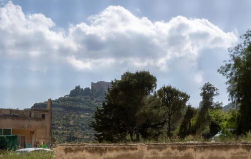 Blackbird Sanctuary homestay & Art Cafe