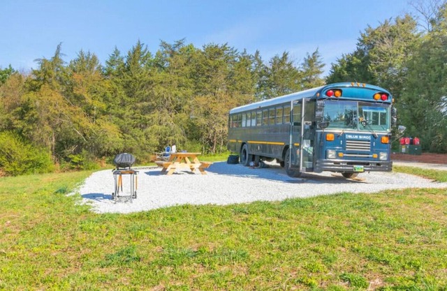 Blue Bird: Family Glamping on School Bus w/ Views!