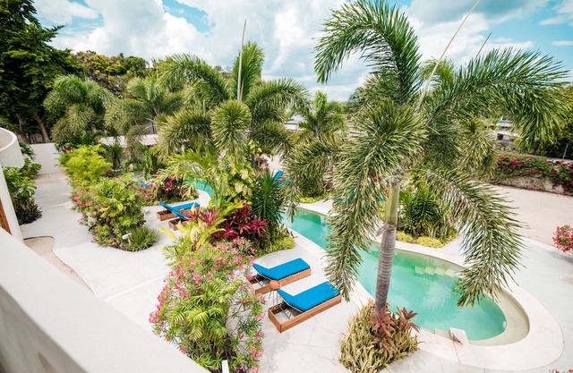 Blue Palm Bacalar