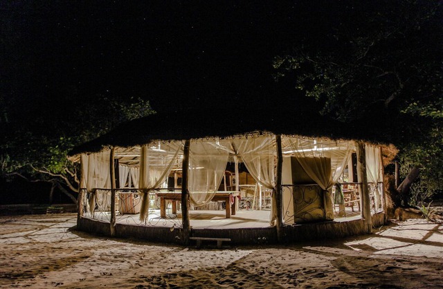 Bonobo Lodge