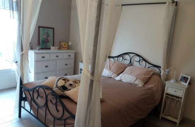 Bord de Loire , Calme, Nature ,jardin,espace