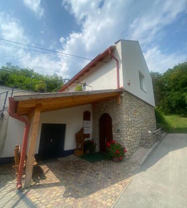 Borház