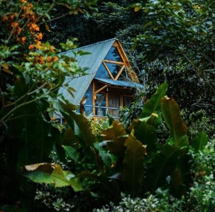 Boscaje Solarpunk Habitat