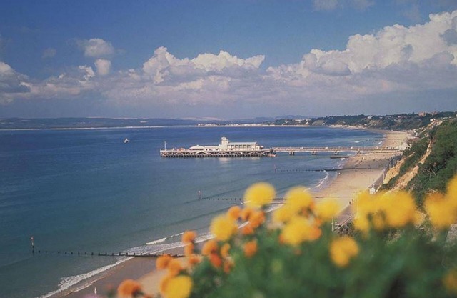 BOURNECOAST: SUPERB HOUSE * HOT TUB * BBQ HUT * HOME GYM * GARDEN * WIFI -HB6340