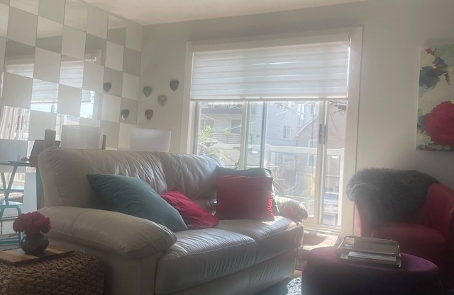 Bright, Funky and Clean Downtown Apartment