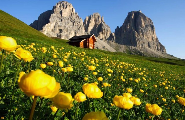 Brunel (SOF774) by Interhome