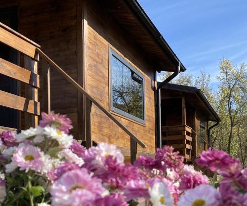 Bungalouri Olanesti