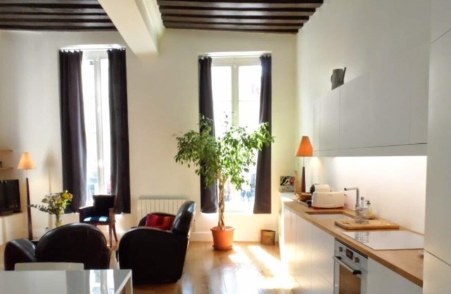 By Place Des Vosges- Heart of Marais-16th Cent-Large-Elegant-AC