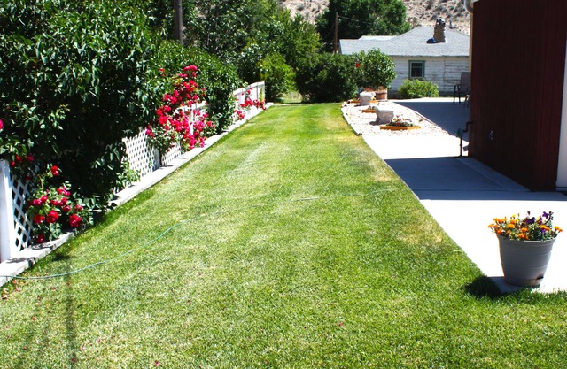 Bybee's Steppingstone Motel