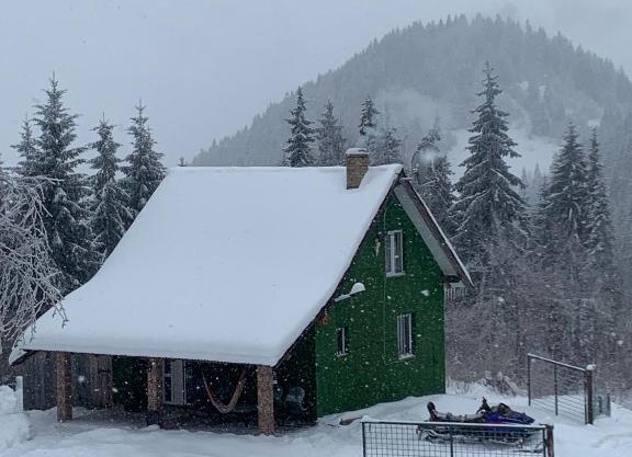 Căbănuța din Pădure