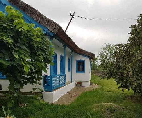 Căsuța de chirpici