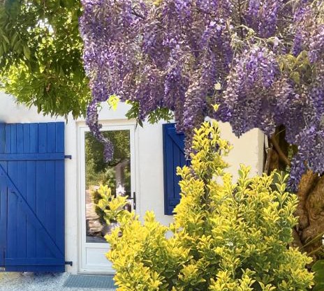 C'est une maison bleue adossée à la forêt - avec longue durée possible