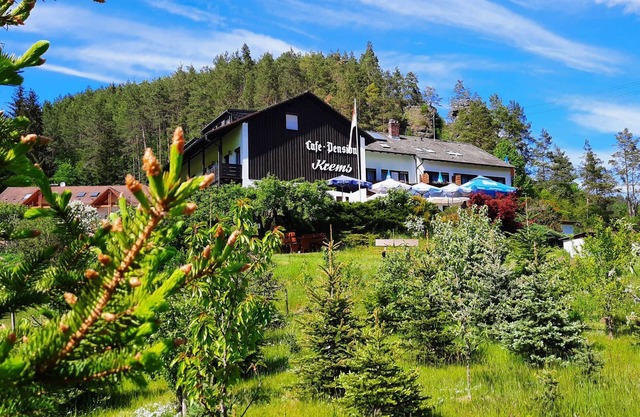 Café-Pension Krems - Double room