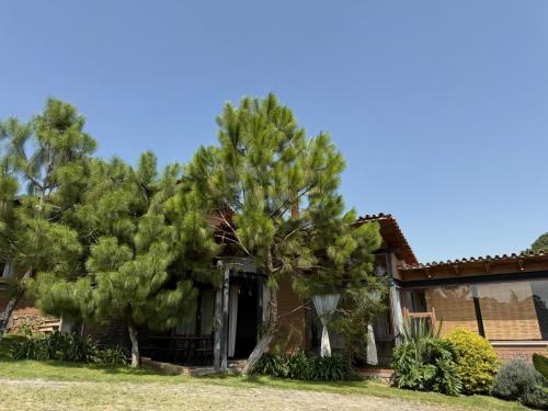 Cabaña Ciervo Tapalpa