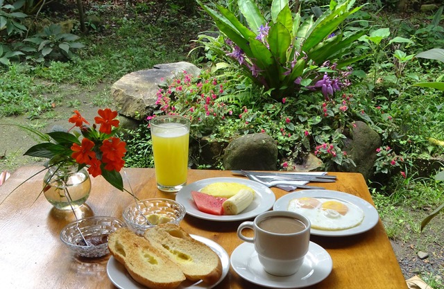 Cabañas Armonía y Jardín de Orquideas