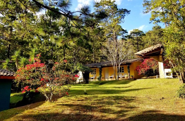 Cabañas Bosque llano de la Virgen
