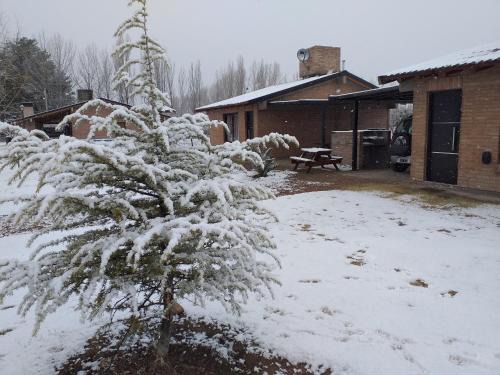 Cabañas San Jose del Atuel