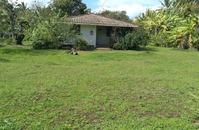 Cabañas Varua
