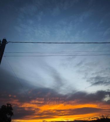 Cabana de la Pădure