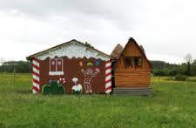 Cabane chaletin the wood