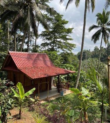 Cabin D Bendul and Warung