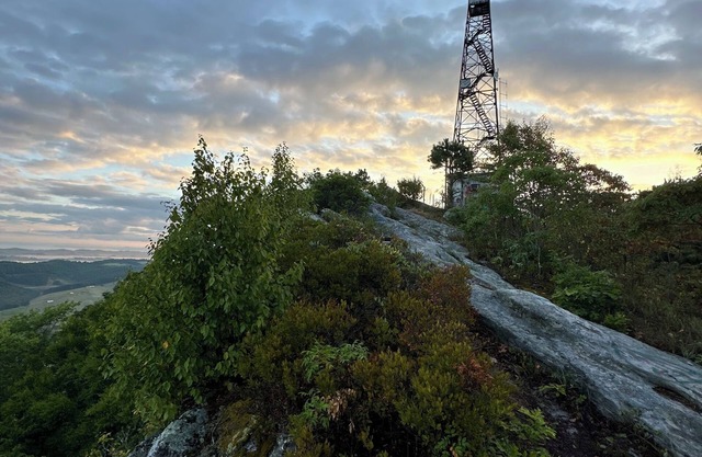 Cabin in Disguise Family Base: Firepit, Stargazing BBQ, Hiking Bluegrass Music!