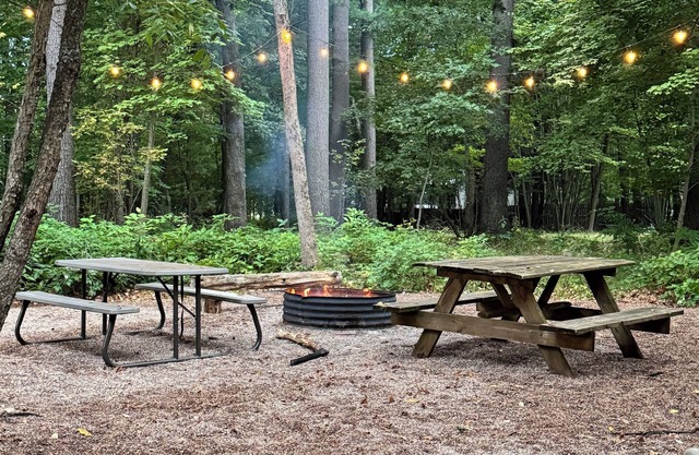 Cabin in the woods with hot tub and lake views. Pets welcome! Close to Nordic.