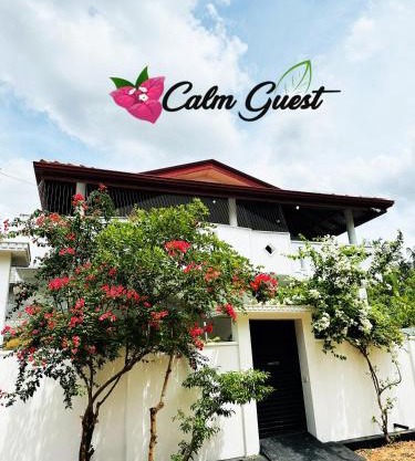 Calm Guest