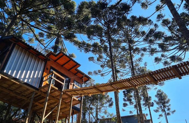 Cambará Ecomoradas