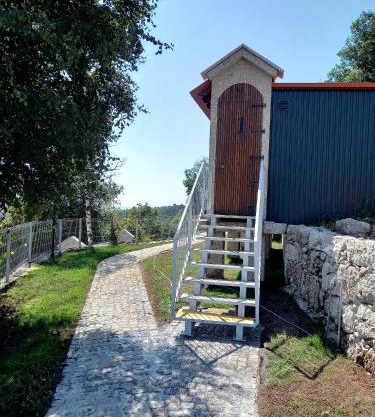 Canastro do Vidoeiro